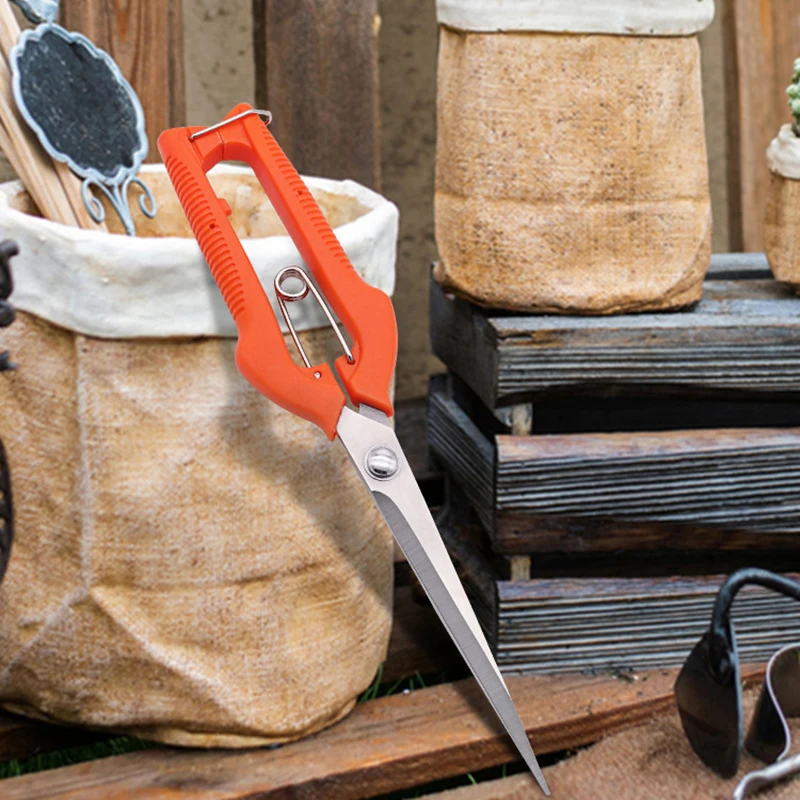 Druivenschaar Snoeischaar Tuin - Furniture Joining Hardware recensie en prijs