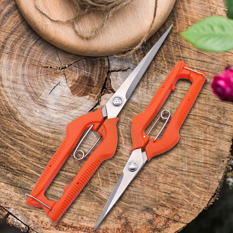 Druivenschaar Snoeischaar Tuin - Furniture Joining Hardware recensie en prijs
